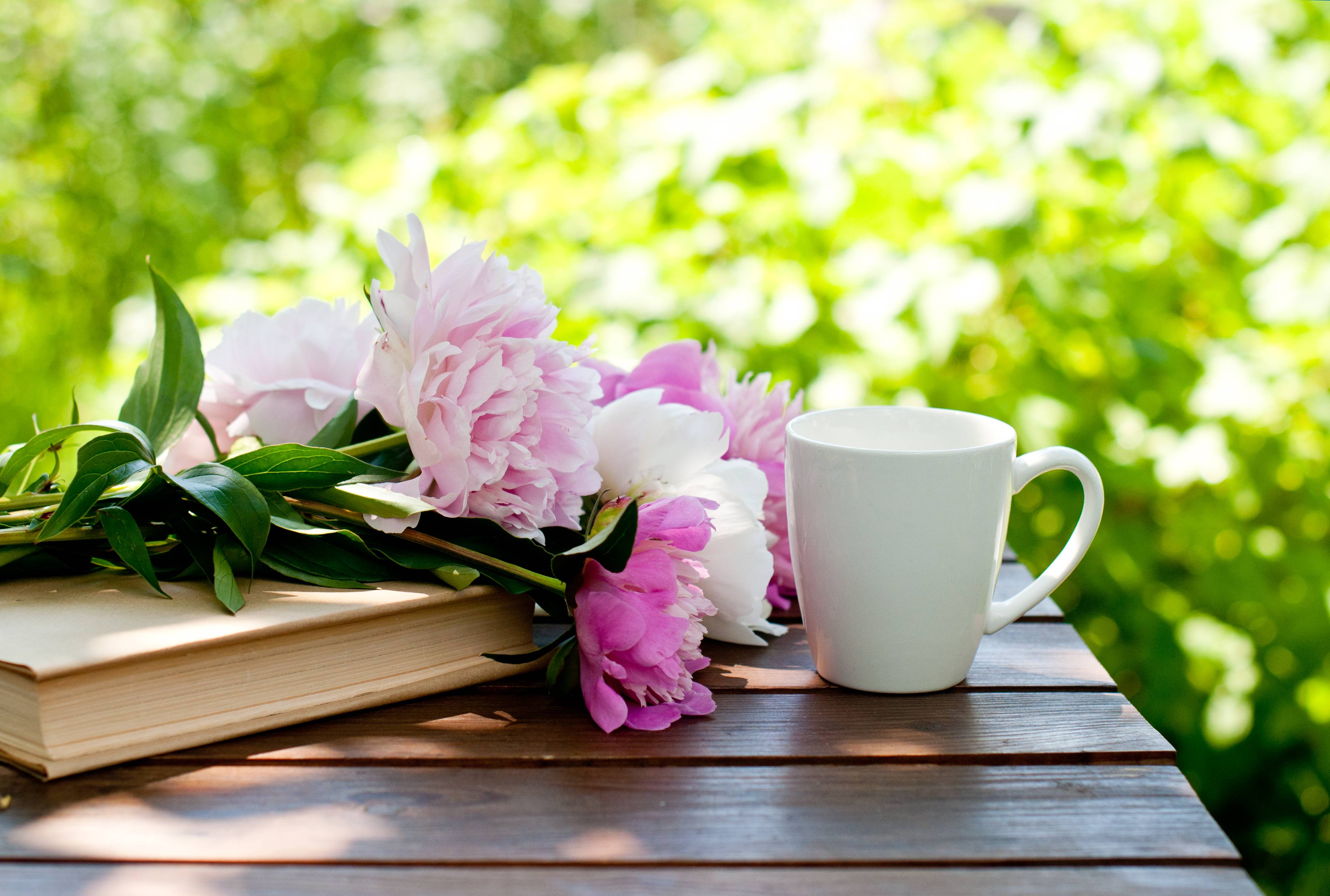 white-mug-surrounded-by-pink-flowers
