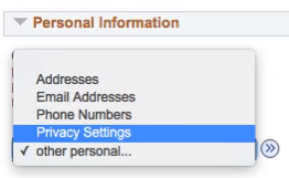 "Other Personal" drop down box that contains the "Privacy Settings" link
