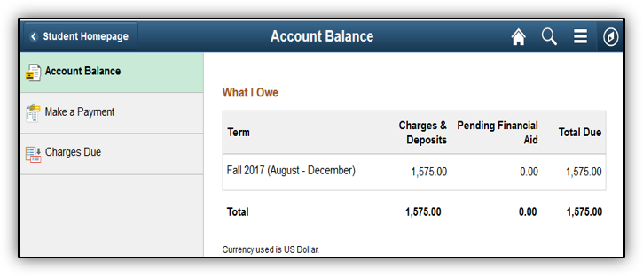 Screenshot of Account Balance page