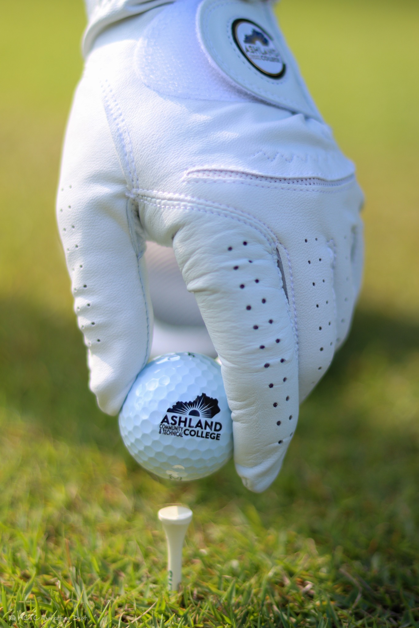 golfers-hand-wearing-white-glove-placing-actc-golf-ball-on-tee