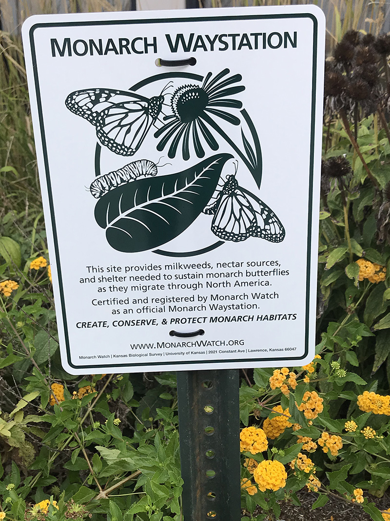 monarch waystation sign